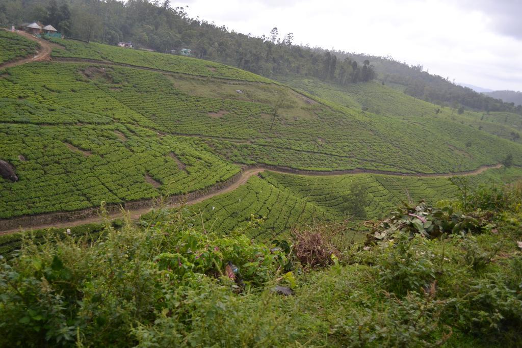 Ferndale Homestay Thekkady Eksteriør bilde