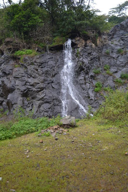 Ferndale Homestay Thekkady Eksteriør bilde