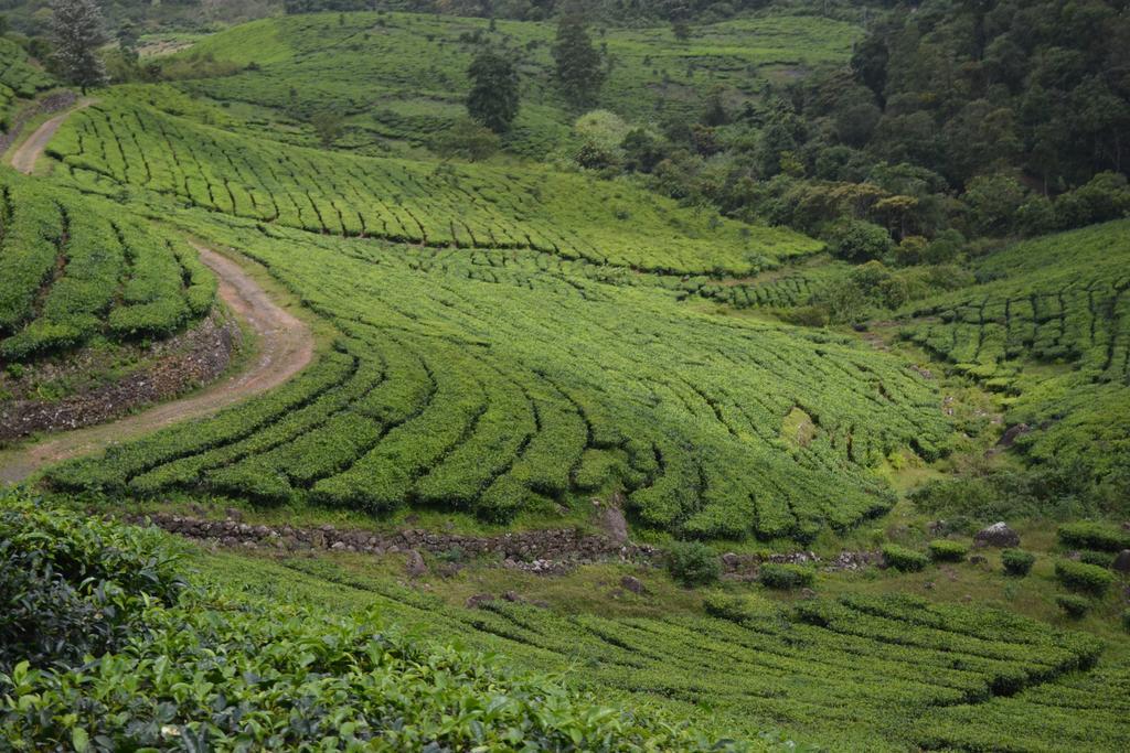 Ferndale Homestay Thekkady Eksteriør bilde