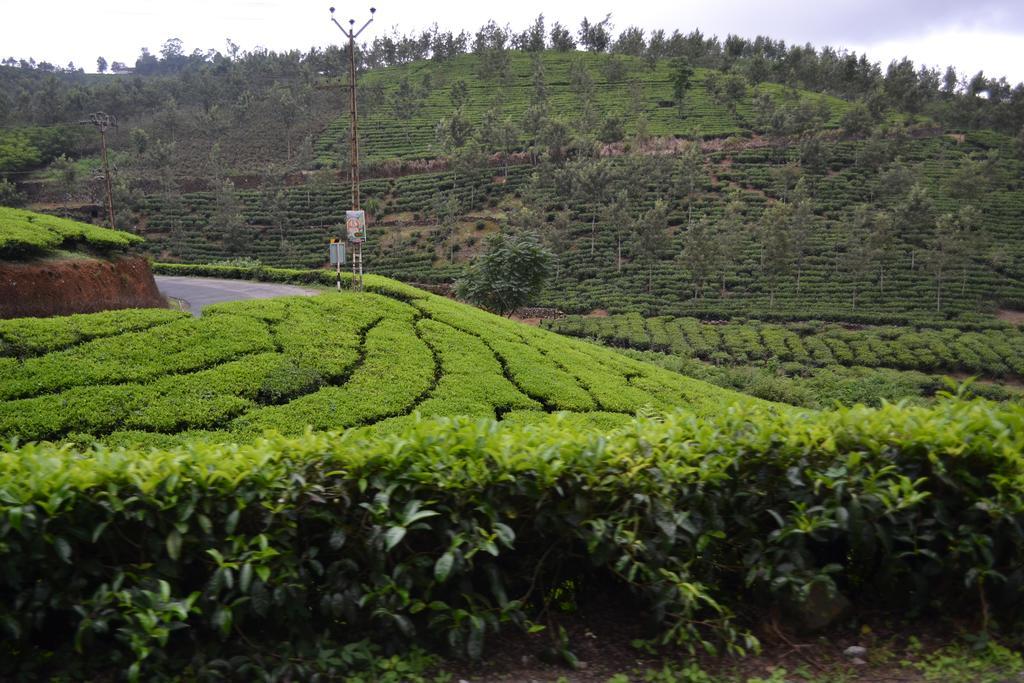 Ferndale Homestay Thekkady Eksteriør bilde