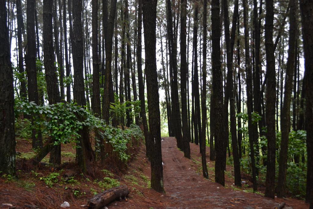 Ferndale Homestay Thekkady Eksteriør bilde