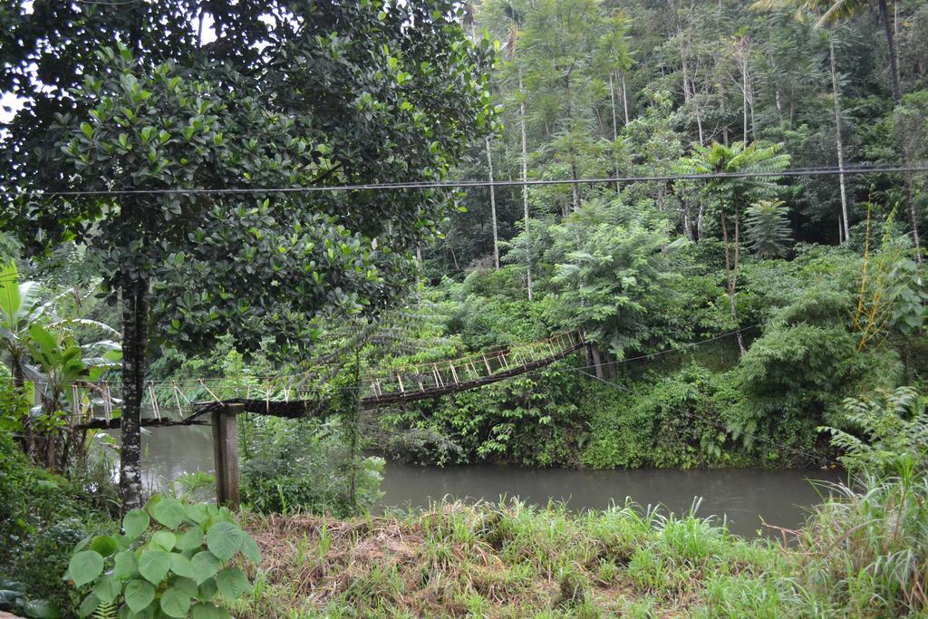 Ferndale Homestay Thekkady Eksteriør bilde