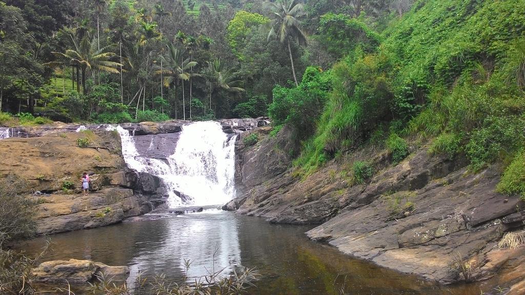 Ferndale Homestay Thekkady Eksteriør bilde