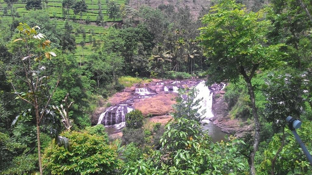 Ferndale Homestay Thekkady Eksteriør bilde